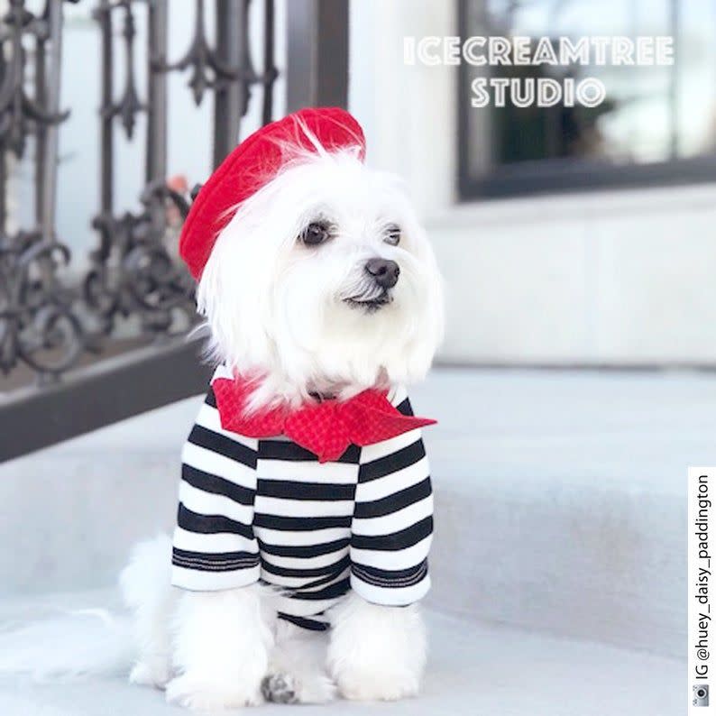 French Beret and Striped Shirt Dog Costume