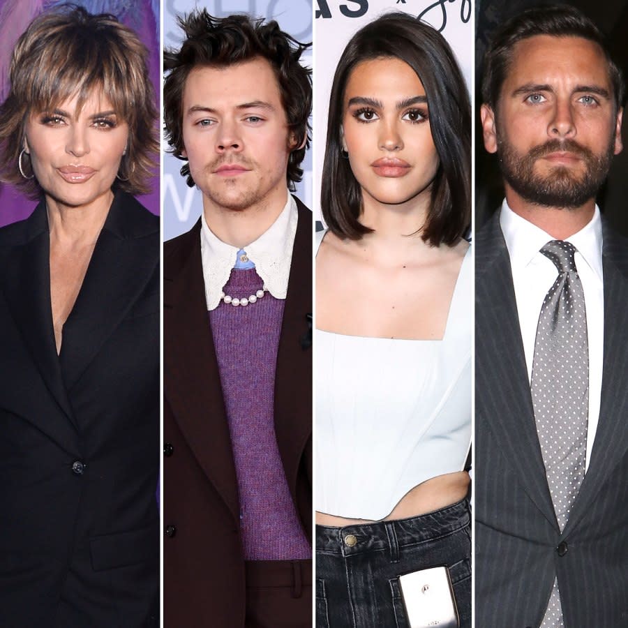 Lisa Rinna Posts Photo of Harry Styles After Shading Amelia Gray Hamlin Boyfriend Scott Disick