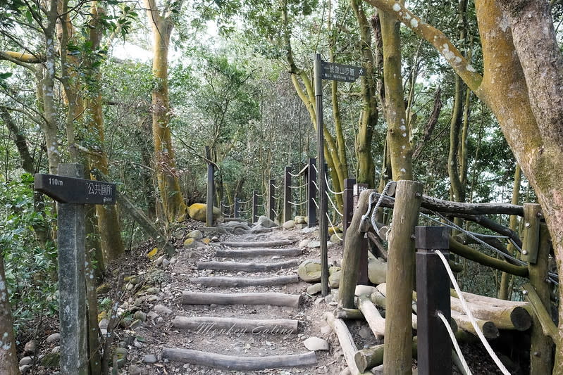 台中｜大坑5號登山步道