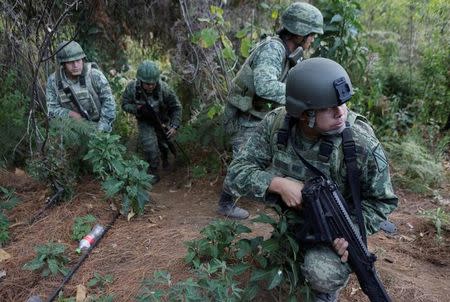 Soldiers stand guard as they destroy poppies during a military operation in the municipality of Coyuca de Catalan, Mexico April 18, 2017. Picture taken April 18, 2017. REUTERS/Henry Romero