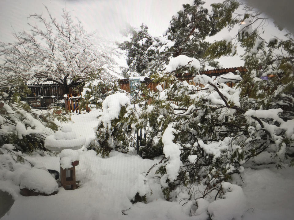 This photo provided by Kate Porter shows a fresh layer of snow fall outside of a home in Joshua Tree, Calif. on Thursday, Feb. 2'1, 2019. Forecasters say a cold weather system could bring snow to extremely low elevations of Southern California and the San Joaquin Valley. (Kate Porter via AP)