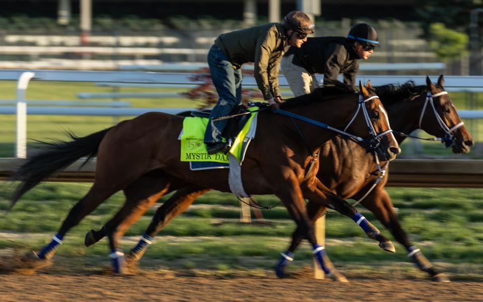 Kentucky Derby hopeful Mystik Dan puts in a workout with a stablemate at Churchill Downs. Special to the Courier Journal by Pat McDonogh. April 20, 2024