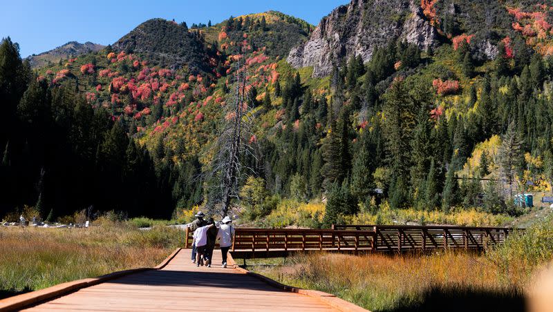 A family hikes at Jordan Pines as the fall colors are starting to change up Big Cottonwood Canyon on Monday, Sept. 25, 2023.