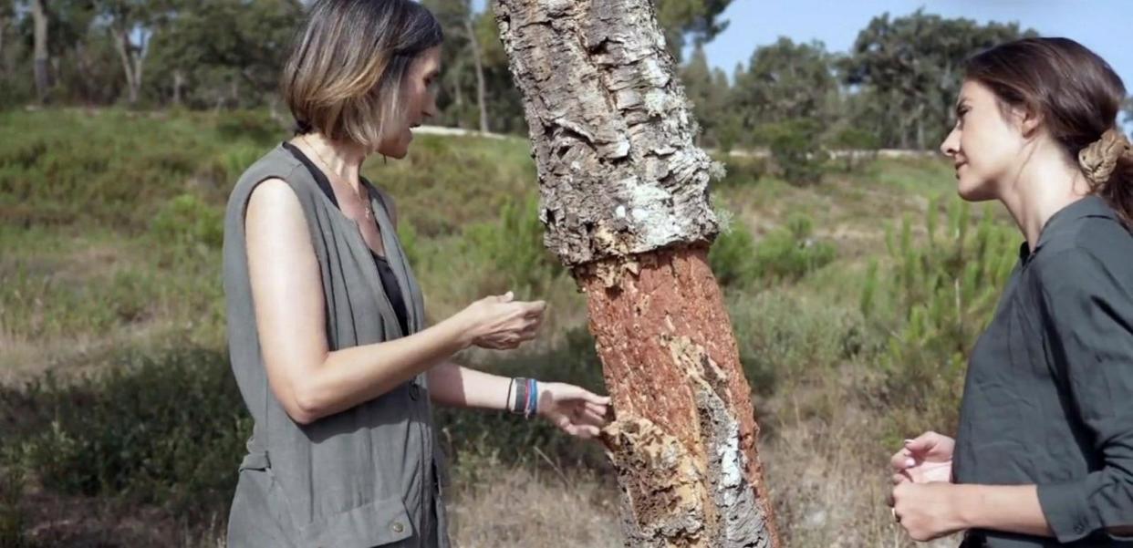 PHOTO: Conceiçao Santos Silva, a forest engineer, speaks with ABC News' Ines de La Cuetara. (ABC News)