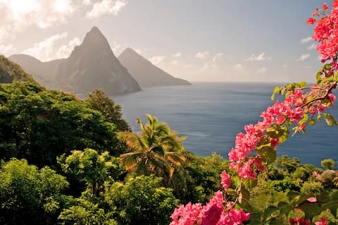 St Lucia's mountains will grab your attention - Credit: iStock