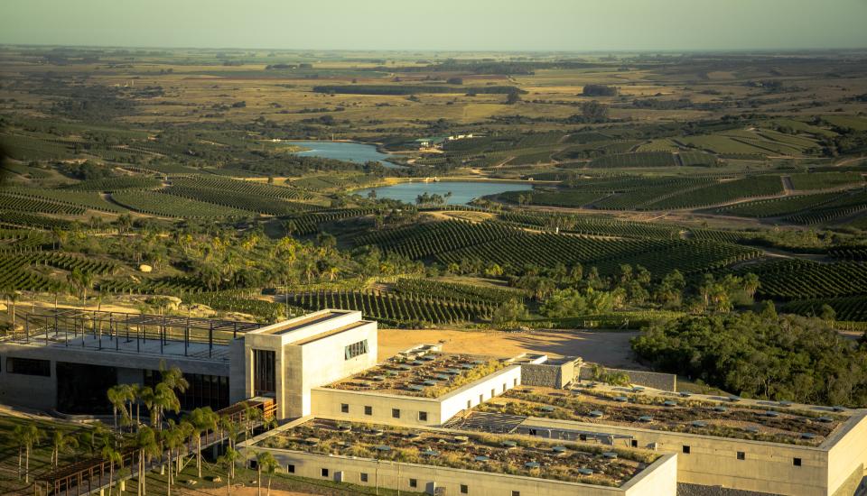 An aerial view of Bodega Garzón.