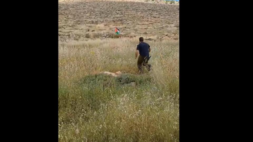 以色列男子踹倒路邊巴勒斯坦國旗，卻觸發底下地雷，差點害自己送命。（圖／翻攝自X @manniefabian )