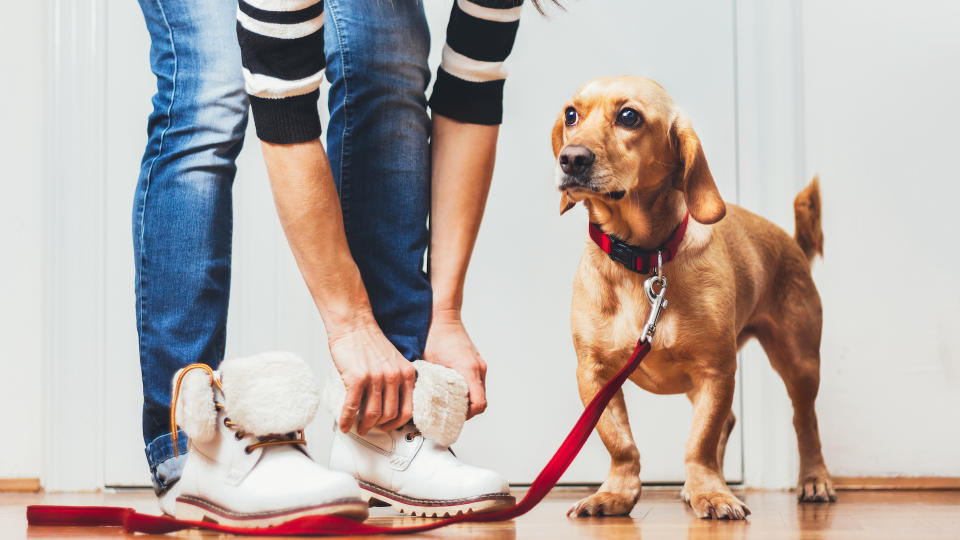 about to go out - dog and owner