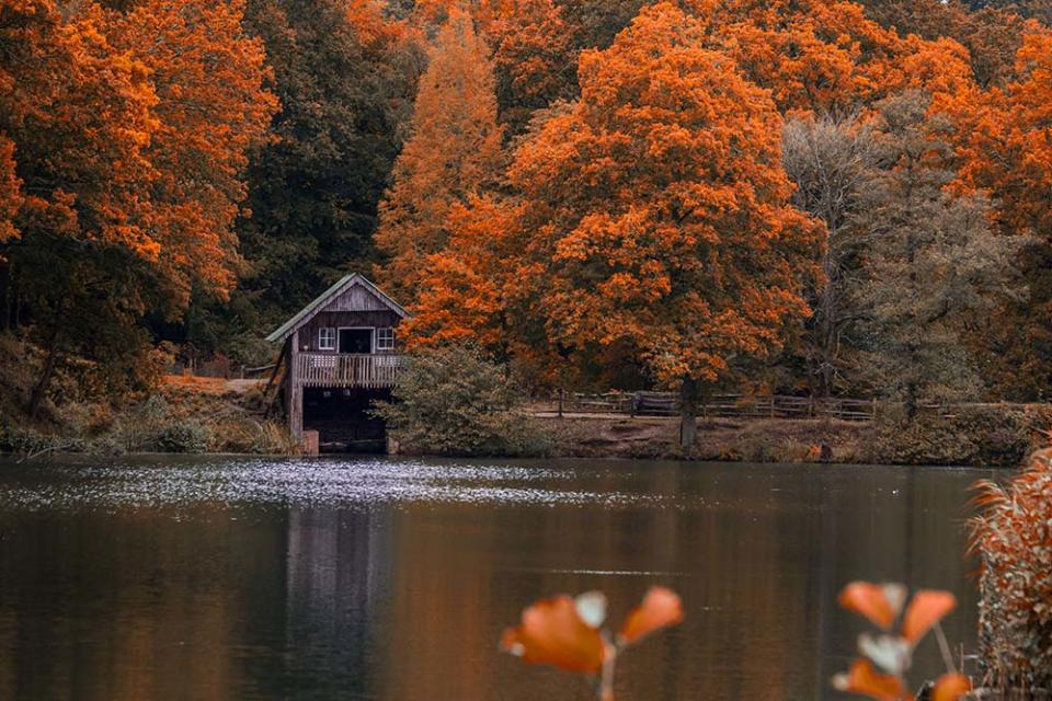 溫克沃夫植物園（Image Source : Getty Creative/iStockphoto）