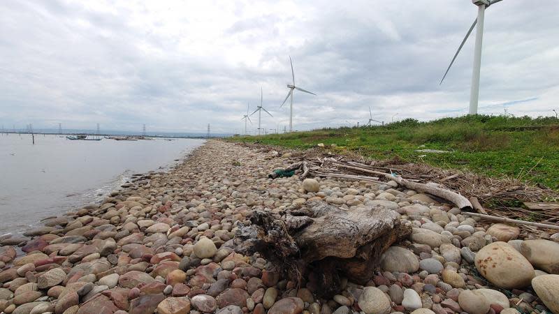 撿漂流木免擔心觸法　彰化海岸地區漂流木開放撿拾