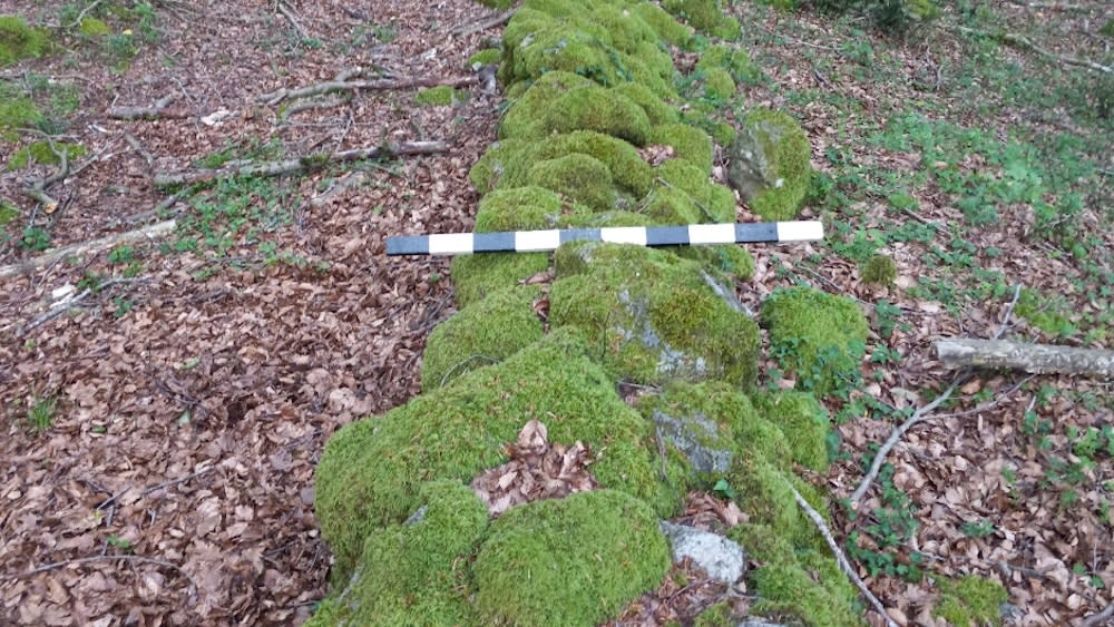  The remnants of a moss-coated stone wall in a forest. . 
