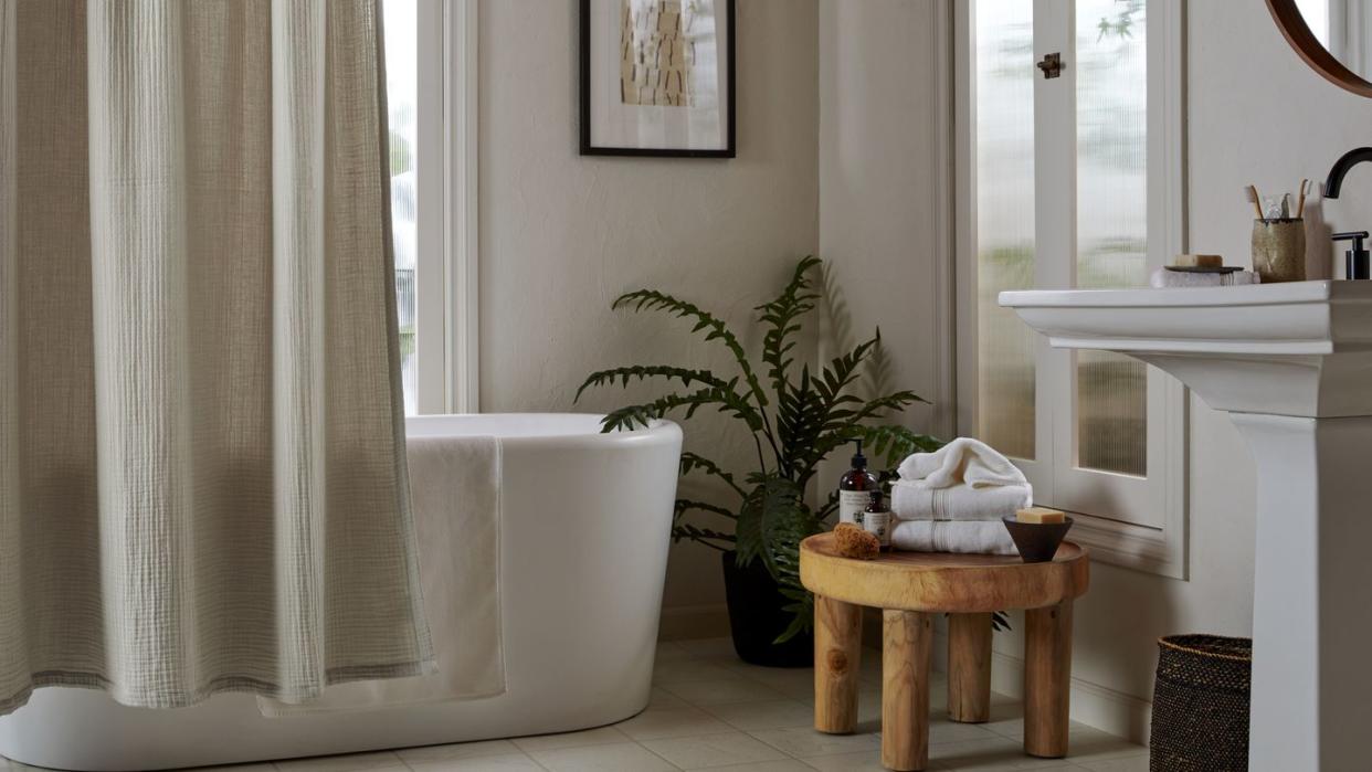 a bathroom with a bathtub and a plant