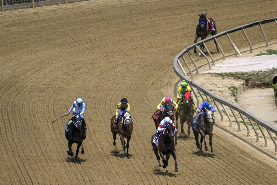 A riderless Havnameltdown trails the field coming out of the fourth turn in the Chick Lang Stakes after suffering a catastrophic leg injury during the sixth race prior to the 148th running of the Preakness Stakes horse race at Pimlico Race Course, Saturday, May 20, 2023, in Baltimore. The Bob Baffert trained horse was euthanized on the race track. (Jerry Jackson/The Baltimore Sun via AP)