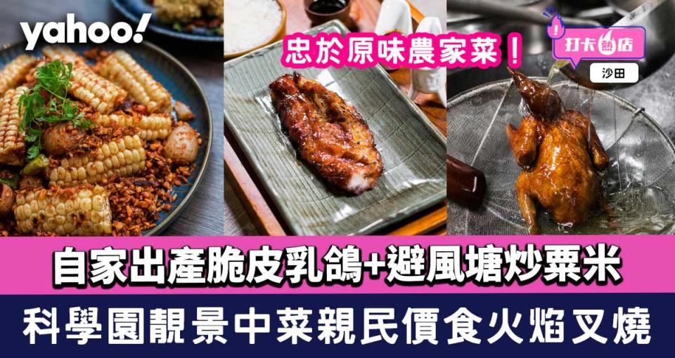 科學園餐廳│靚景中菜親民價食火焰叉燒！自家出產脆皮乳鴿+避風塘炒粟米