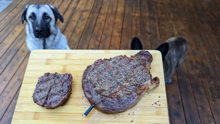 <span class="article__caption">It’s really convenient not having to worry about removing a wired probe as you pull meat off the grill. </span> (Photo: Wes Siler)