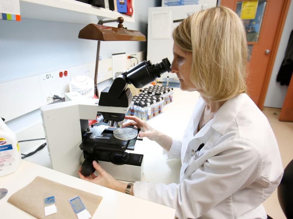 blond woman in white lab coat looks through microscope at a petri dish with specimens lined up along the counter beside her