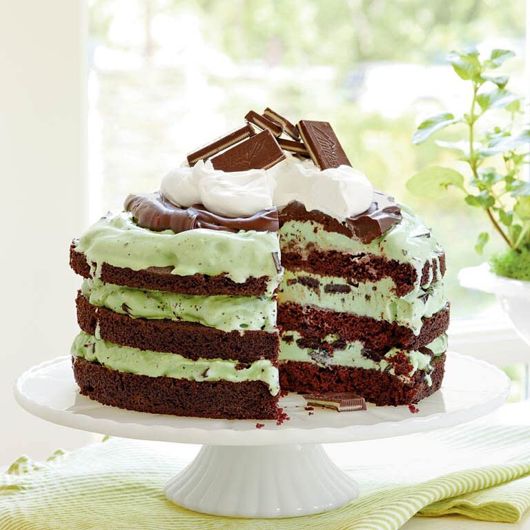 Mint Chocolate Chip Ice-Cream Cake