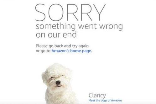The website crashed for maany and showed only an error page that apologised for the outage amid the Prime Day sale: Amazon