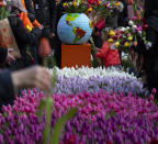 Scores of people pick free tulips on Dam Square in front of the Royal Palace in Amsterdam, Netherlands, Saturday, Jan. 18, 2020, on national tulip day which marks the opening of the 2020 tulip season. (AP Photo/Peter Dejong)