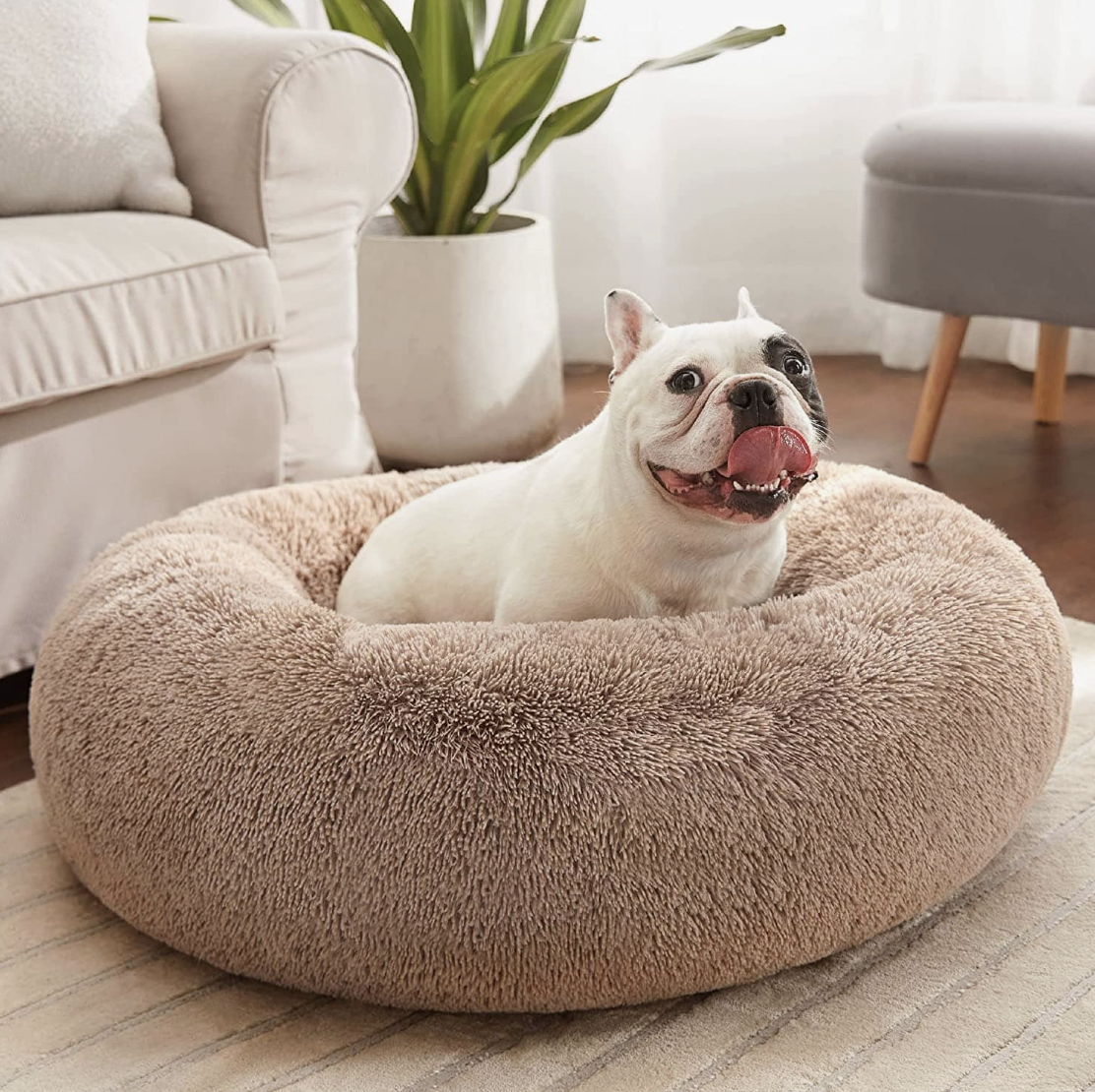 <p><a href="https://go.redirectingat.com?id=74968X1596630&url=https%3A%2F%2Fbedsurehome.com%2Fproducts%2Fcalming-donut-bed-for-dogs-and-cats%3Fvariant%3D40131578789990&sref=https%3A%2F%2Fwww.oprahdaily.com%2Fstyle%2Fg62072637%2Fo-list-pets%2F" data-i13n="elm:affiliate_link;elmt:premonetized" rel="sponsored" target="_blank" data-ylk="slk:Shop Now;elm:affiliate_link;elmt:premonetized;itc:0;sec:content-canvas" class="link rapid-noclick-resp rapid-with-clickid etailiffa-link">Shop Now</a></p> <p>Calming Donut Bed for Dogs and Cats</p> <p>bedsurehome.com</p> <p>$29.99</p>