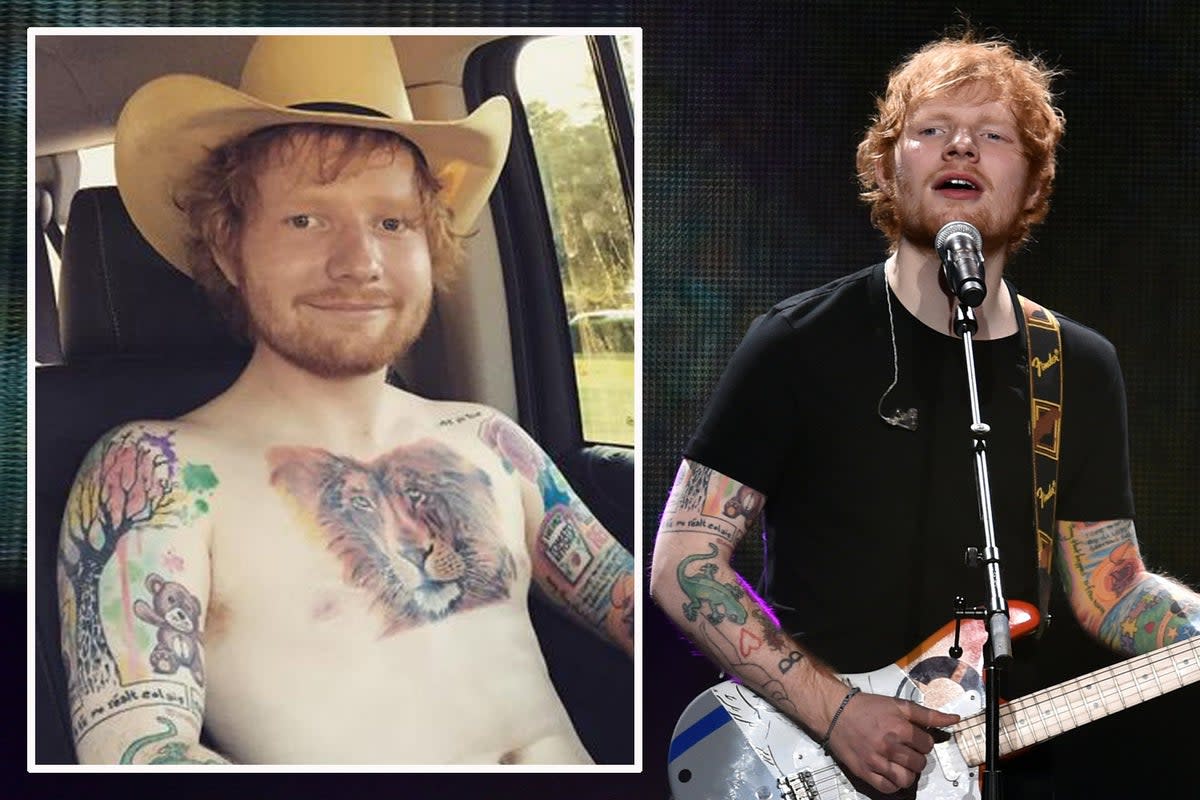 Ed Sheeran wants the Teddy Bear logo to be the face of his new food venture  (ES Composite)