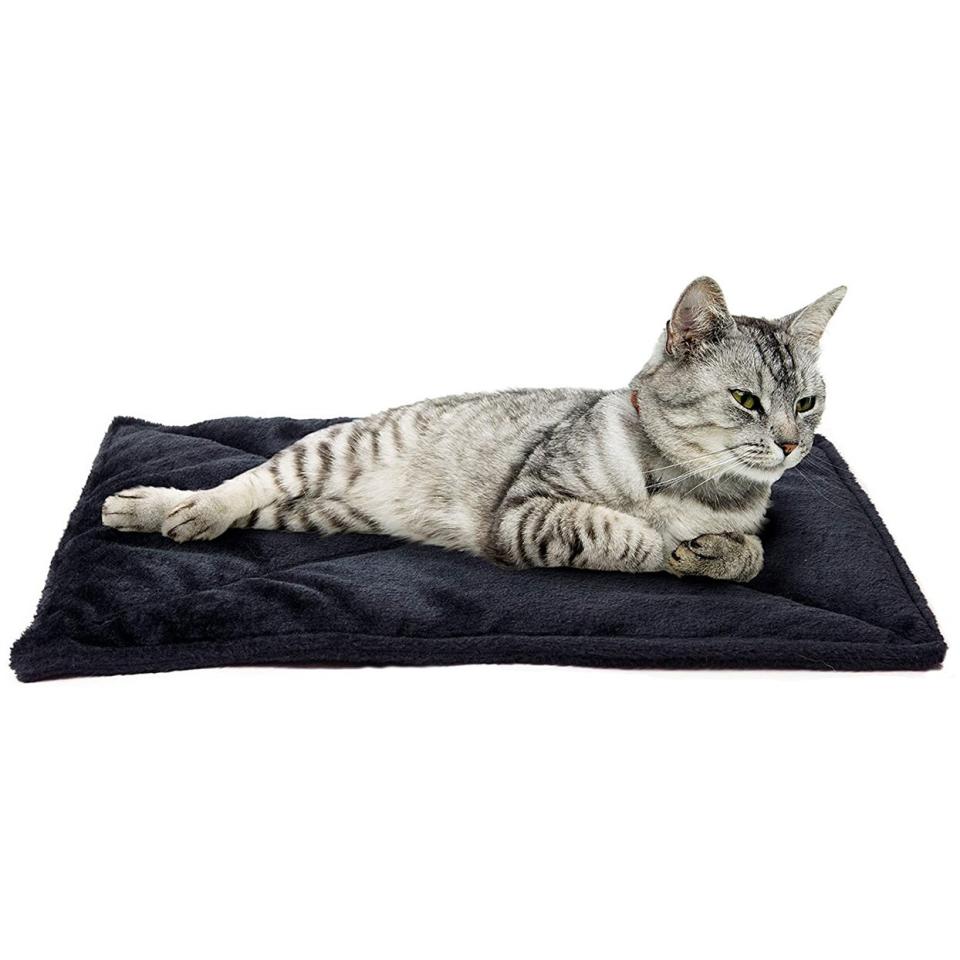 Cat lying on a Furhaven Pet Products, ThermaNAP Cat Bed Pad