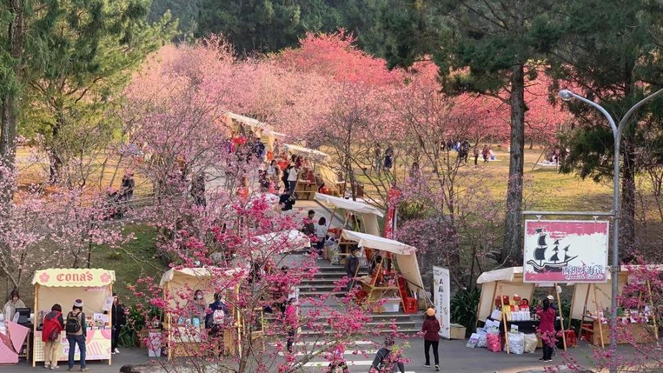 九族櫻花祭堪稱國內最大的賞櫻活動。（圖／翻攝自九族文化村臉書）