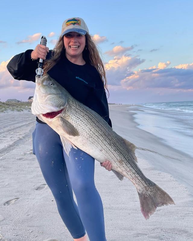 Surf fishermen find big striped bass as fall run hits the beaches