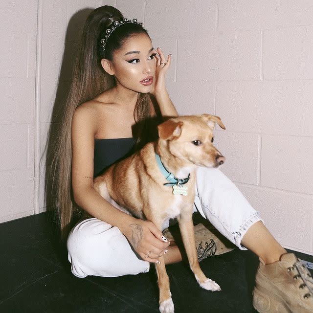 <p>The 'No More Tears Left To Cry' singer is also a proud owner to her beagle-chihuahua mix breed Toulouse, who she adopted in 2013 saying: 'I wanted him so bad and now he's mine, my heart is so full.' </p><p><a href="https://www.instagram.com/p/BxvsenlFPWU/" rel="nofollow noopener" target="_blank" data-ylk="slk:See the original post on Instagram;elm:context_link;itc:0;sec:content-canvas" class="link ">See the original post on Instagram</a></p>