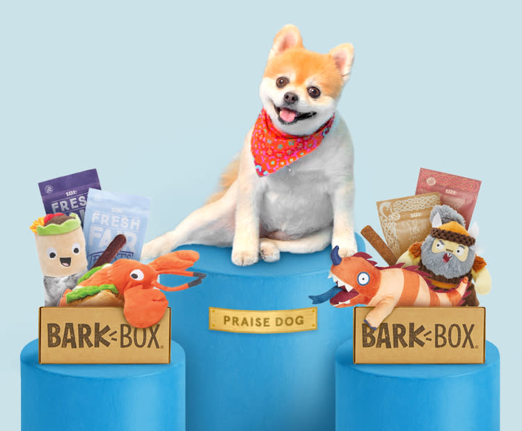 Spoil your dog with BarkBox. (Photo: Amazon)