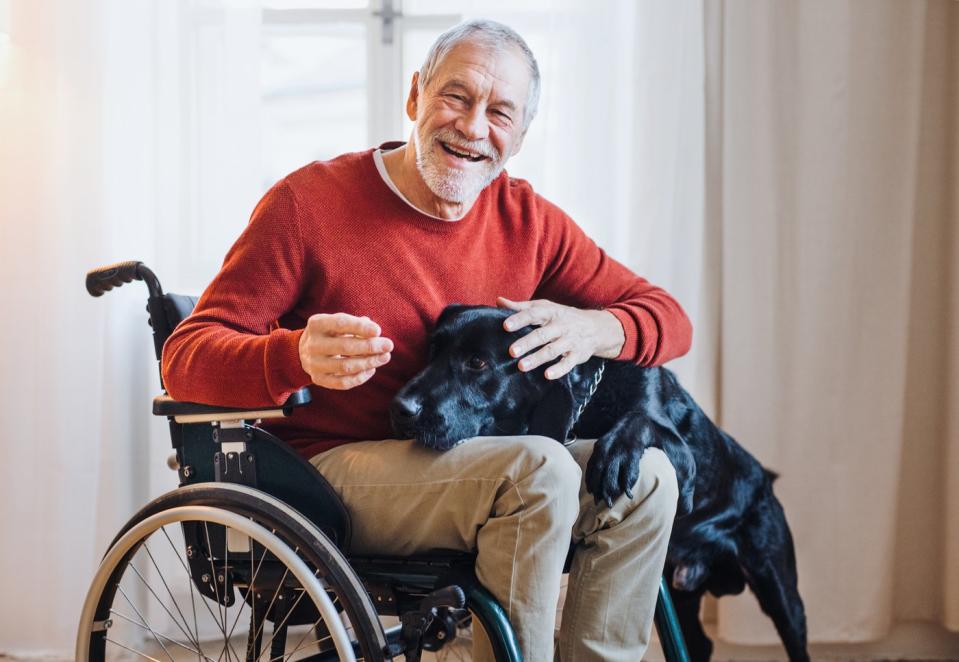 Smiling person in wheelchair, petting dog.