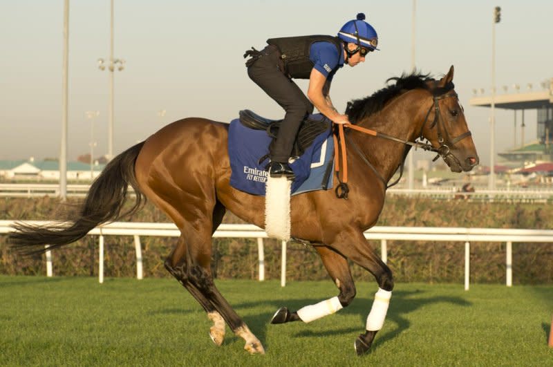 Nations Pride preps for Sunday's Grade I Canadian International at Woodbine. Photo by Michael Burns, courtesy of Woodbine