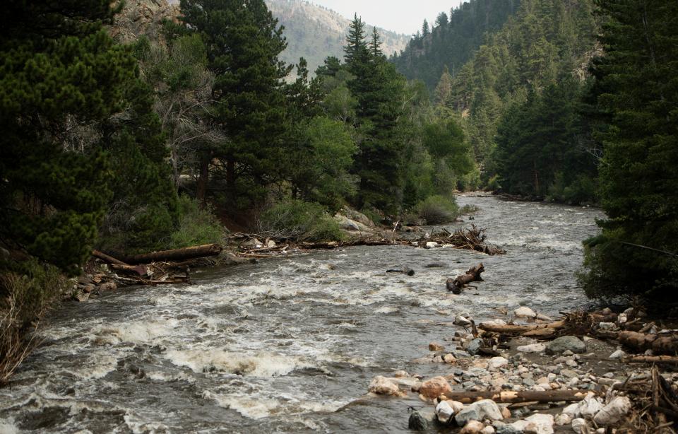 Debris lays along the banks of the Cache la Poudre River from the July 20 flash flood and mudslide near Rustic on Aug. 4, 2021. The flood killed four people.
