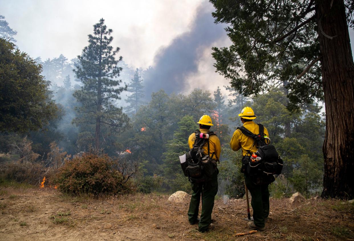 Two firefighters take a moment to keep an eye on the progress of a prescribed burn section adjacent to their own on Thomas Mountain in Mountain Center, Calif., Friday, June 16, 2023. 