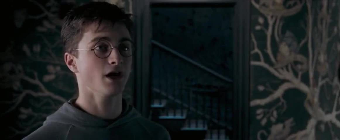 Daniel Radcliffe as Harry Potter (Warner Bros)