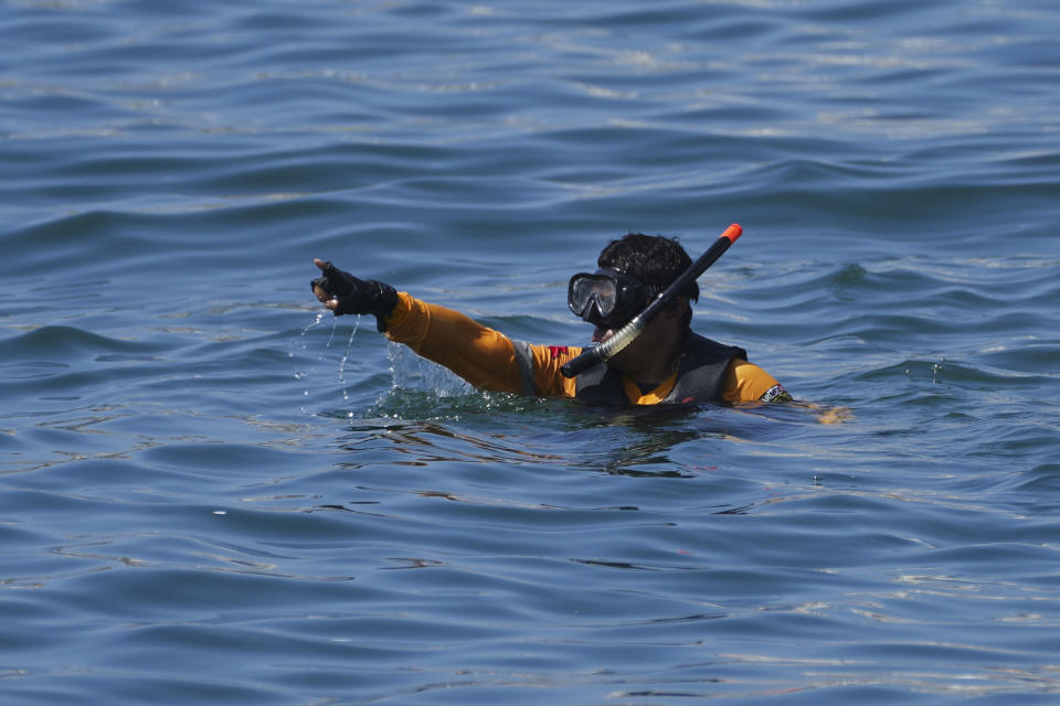 A diver signals to the boat, as members of the Navy and the Urgent Medical Rescue Squadron (ERUM) search for bodies, weeks after the passing of Hurricane Otis, in Acapulco, Mexico, Saturday, Nov. 11, 2023. It was 12:20 a.m. on Oct. 25. when Hurricane Otis made landfall in this Pacific port city as a Category 5 hurricane, leaving 48 dead, mostly by drowning, and 31 missing, according to official figures. Sailors, fishermen and relatives of crew members believe that there may be more missing because sailors often go to take care of their yachts when a storm approaches. (AP Photo/Marco Ugarte)