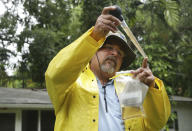 <p>Giraldo Carratala, an inspector with the Miami Dade County mosquito control unit, peers over a fence into the back yard of a home, Tuesday, April 12, 2016, in Miami, Fla. (AP Photo/Lynne Sladky)</p>