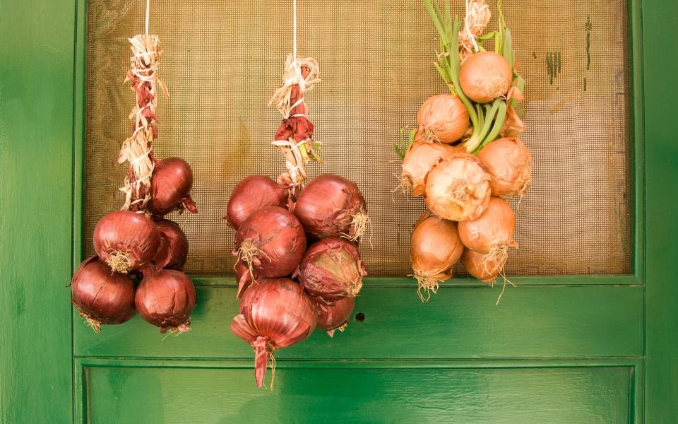 Hanging onions