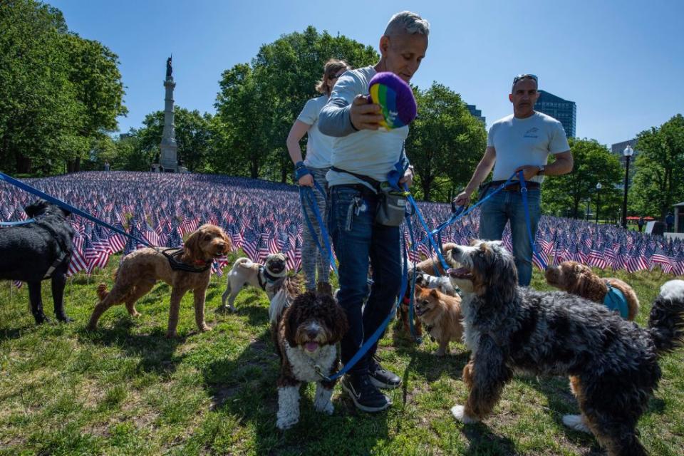 Dog walkers make a stop by a memorial of US Soldiers and Sailors Monument by the Massachusetts Military Heroes Fund for Memorial Day, in Boston, Massachusetts, on May 26, 2023. More than 37,000 US flags were planted around the monument in Boston Common to honor each US military member from the state who died while serving since the Revolutionary War. (Photo by Joseph Prezioso / AFP) (Photo by JOSEPH PREZIOSO/AFP via Getty Images)