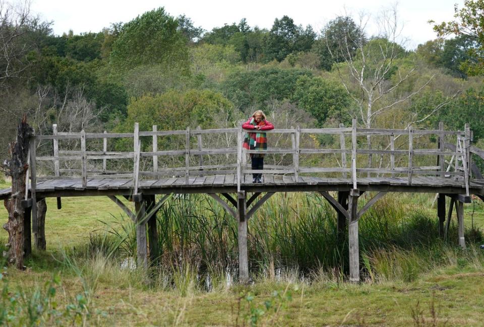 The sturdy structure, which was built around 1907, rose to fame after being included in the Pooh series and was officially renamed Poohsticks Bridge in 1979 (Gareth Fuller/PA) (PA Wire)