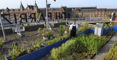 Chris Naylor, head chef at Michelin-starred Restaurant Vermeer, poses in his rooftop garden in Amsterdam, the Netherlands, May 27, 2015. REUTERS/Michael Kooren