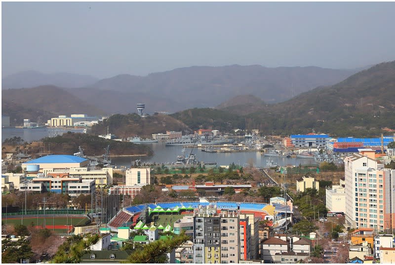 釜山鎮海｜慶和站櫻花路 (경화역벚꽃길)