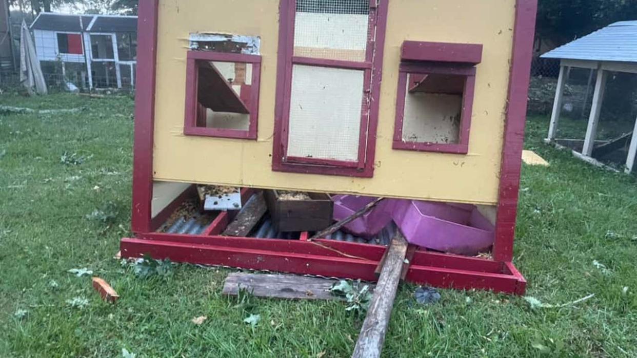 <div>A chicken coop was flipped upside down in Paige.</div> <strong>(Debbie Barrington)</strong>