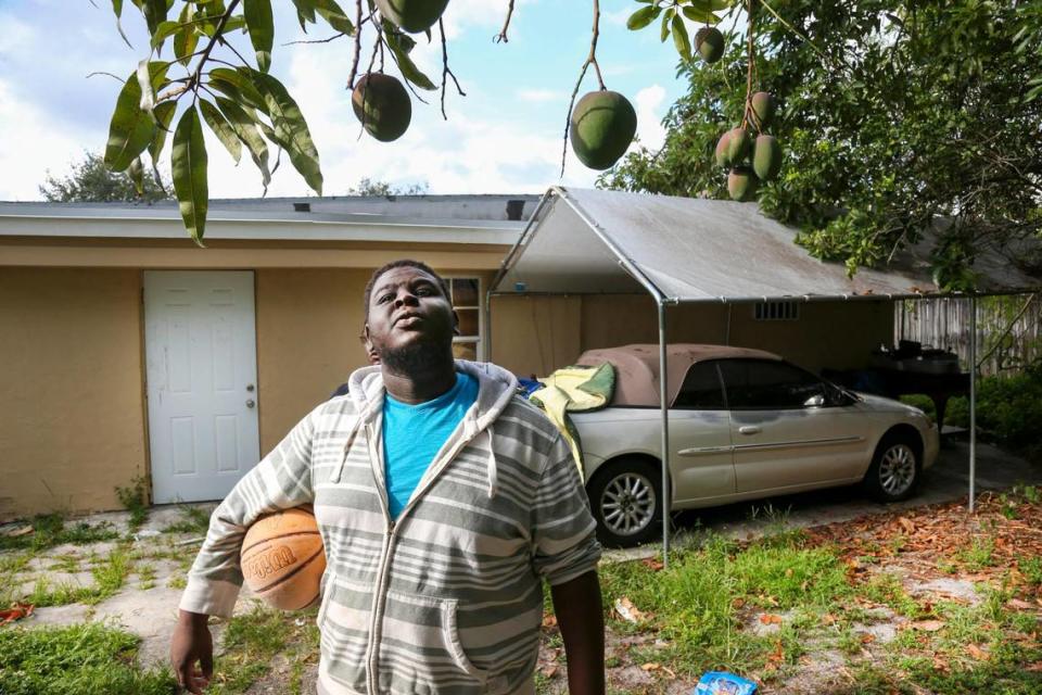 Mardochee Pierre, de 23 años, sostiene una pelota de basquetbol mientras mira los mangos que cuelgan de un árbol de mango en el patio de la casa de alquiler de su familia en North Miami, Florida, el miércoles 25 de mayo de 2022.