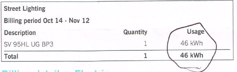 A Leicester resident questioned a Duke Energy bill that charged for streetlights, as the neighborhood doesn't have any.