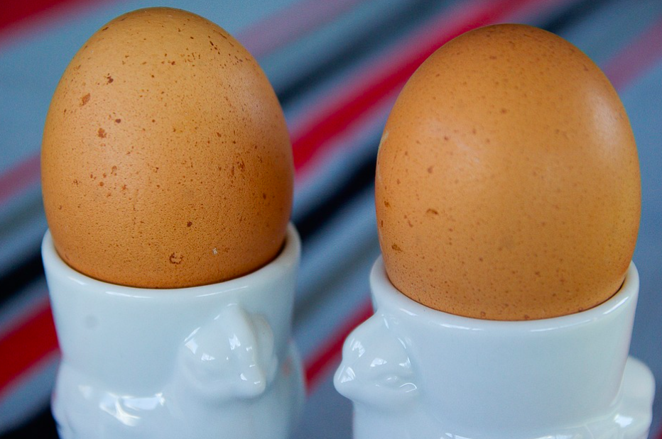 <em>Iceland research found that 13% of students can’t boil an egg (Max Pixels)</em>