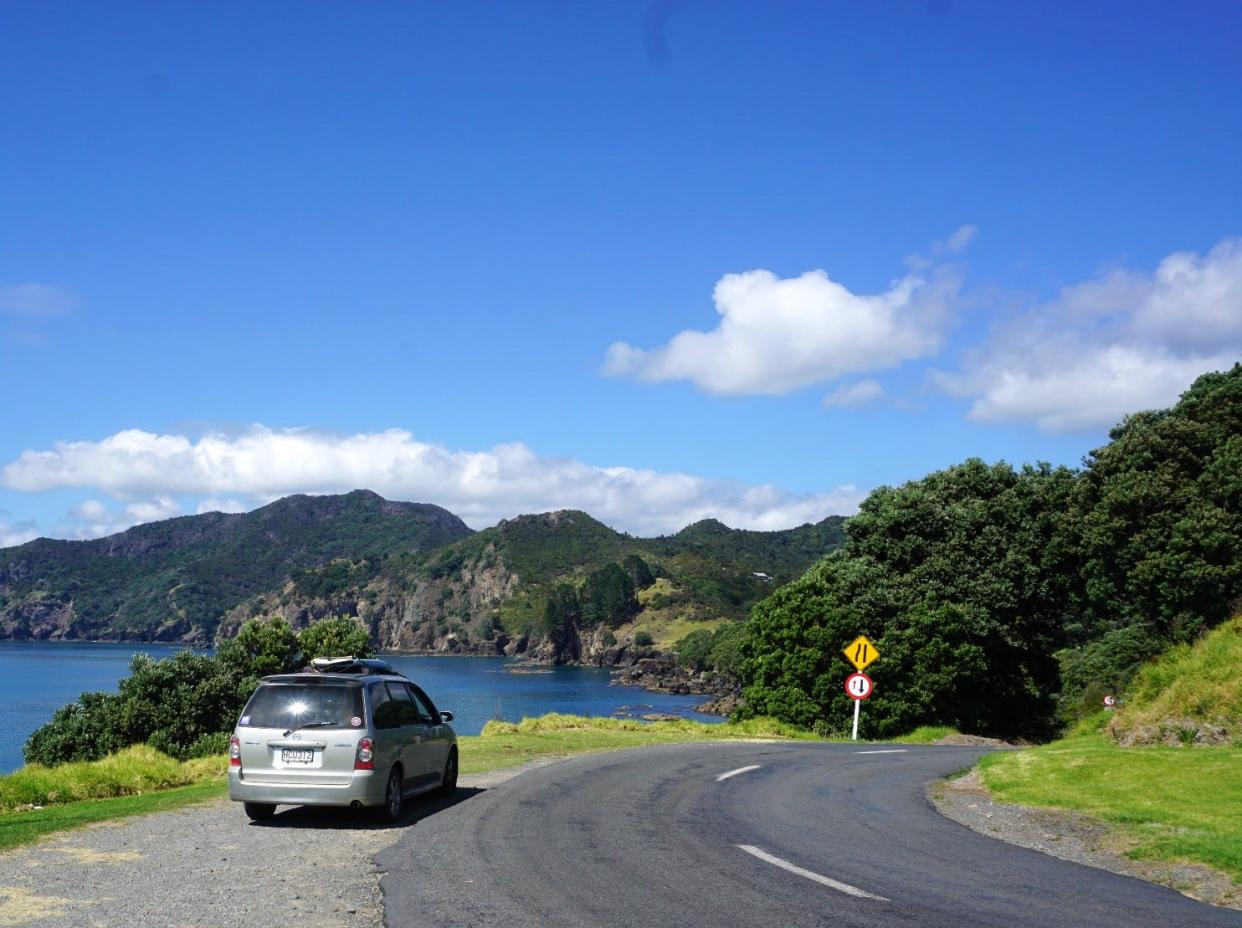 Petrina Darrah van driving down New Zealand road