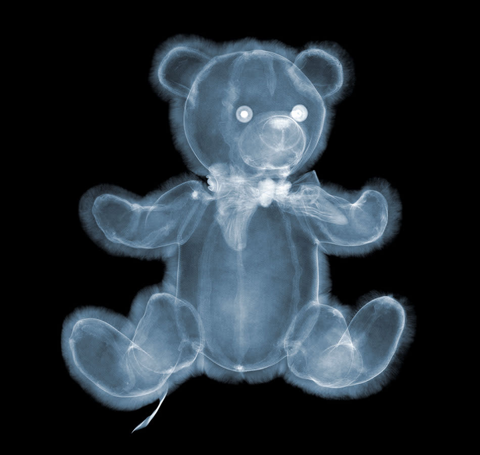 Fascinating X-ray photographs by Nick Veasey svkg 210612