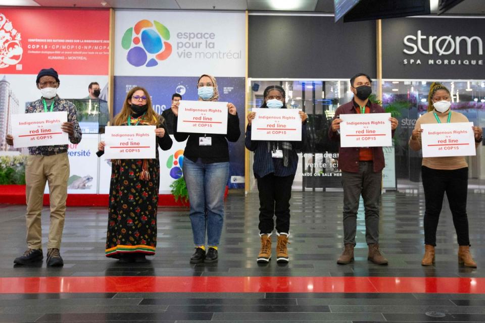 Indigenous climate activists hold a protest during the conference (AFP/Getty)