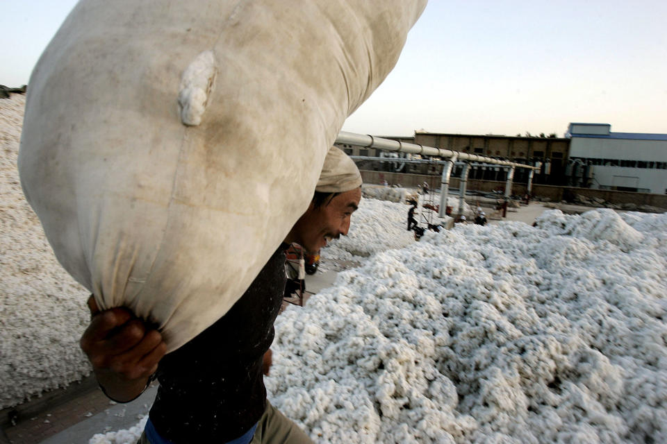 A worker carries a sack containing raw cotton in the city of Korla  in northwest China's Xinjiang Uygur Autonomous Region on Tuesday, Oct. 10, 2006. Cotton is the most important agricultural production in the region. (AP Photo/Eugene Hoshiko)